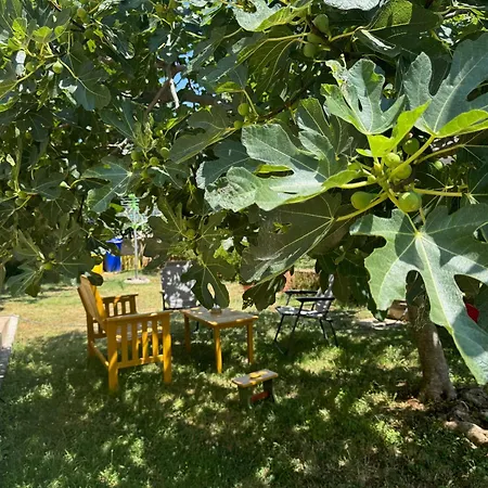 Appartement Lilly Medulin