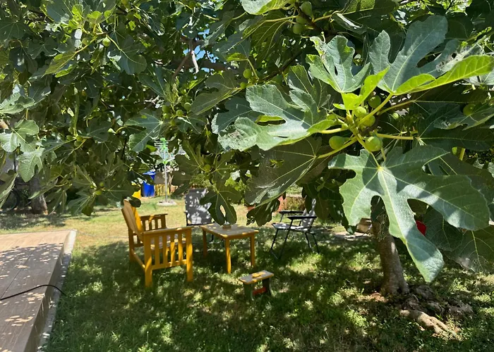 아파트 Lilly 메덜린